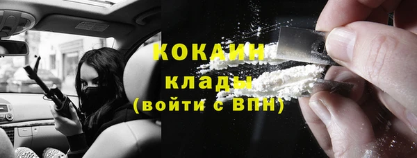 тгк Алзамай