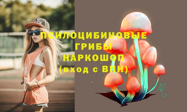 тгк Алзамай
